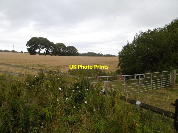 Photo 6"x4" Fields near Wingate Castle Eden c2016