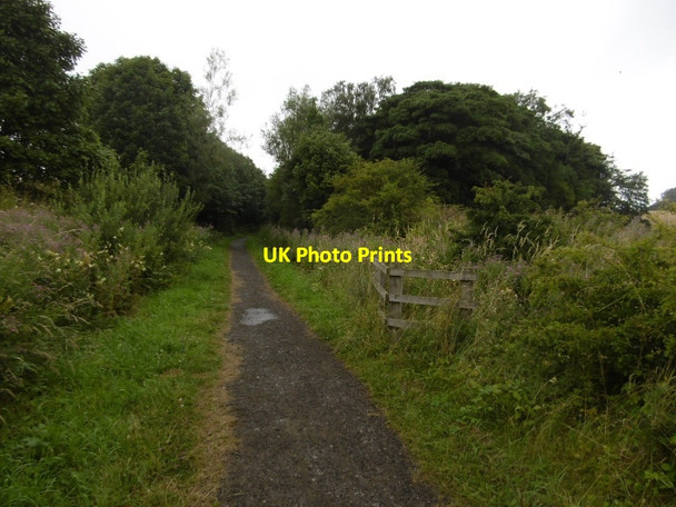 Photo 6"x4" Haswell to Hart Countryside Walkway Castle Eden c2016