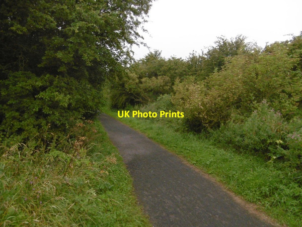 Photo 6"x4" Stockton and Castle Eden Branch trackbed South Wingate c2016