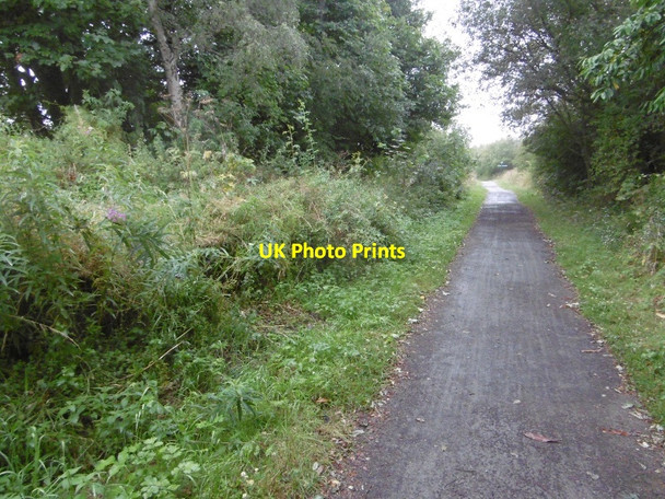Photo 6"x4" Site of Hurworth Burn Station South Wingate c2016
