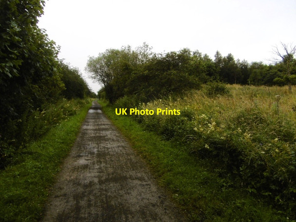 Photo 6"x4" Castle Eden Walkway South Wingate c2016