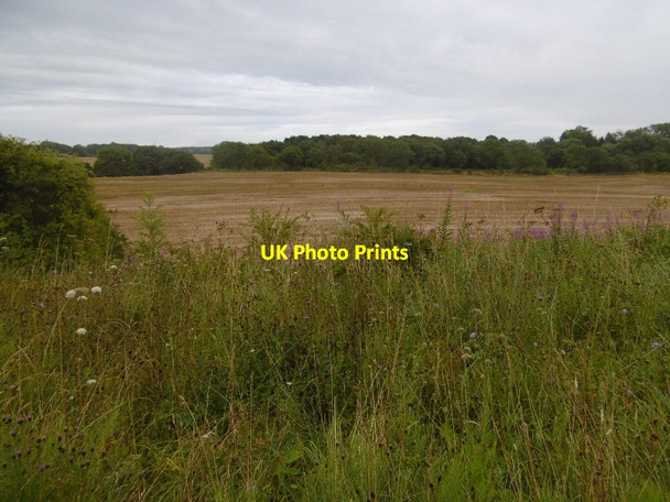 Photo 6"x4" Arable land, Embleton Embleton\/NZ4129 c2016