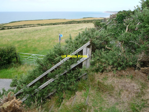 Photo 6"x4" The Raad ny Foillan at the road to Ballacarnane Ballacarnane Beg c2016