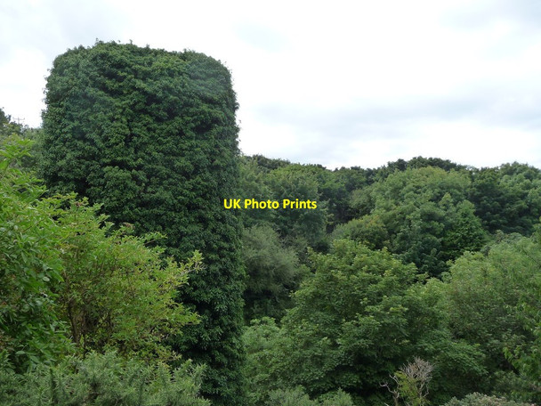 Photo 6"x4" Eastern pier of the Glen Mooar viaduct Ballacarnane Beg c2016