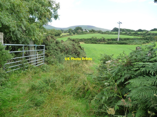 Photo 6"x4" Farmland at Bayr Ballaleigh Ballacarnane Beg c2016