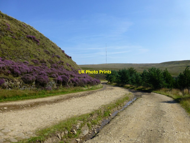 Photo 6"x4" Heather clad Brown Hill on Belmont Road Horwich c2016