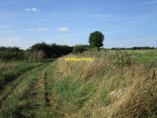 Photo 6"x4" Lane to Misson Misson c2016
