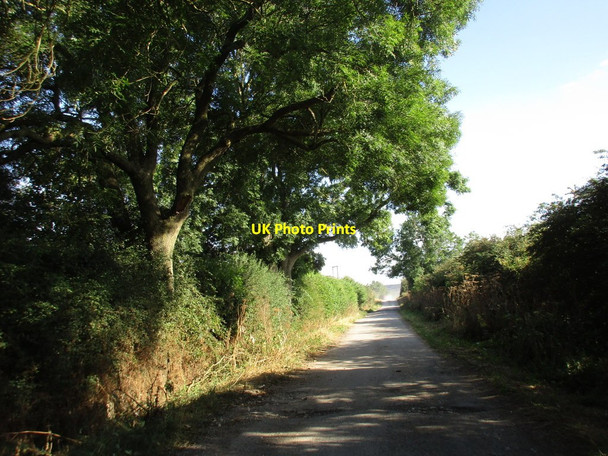 Photo 6"x4" Hagg Lane Austerfield c2016
