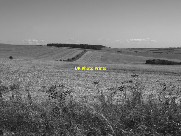 Photo 6"x4" View south from the Ridgeway, west of Uffington Castle Woolstone\/SU2987 c2016