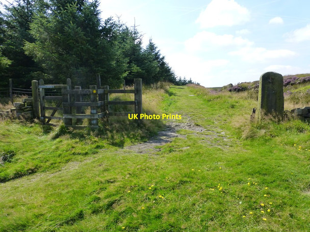 Photo 6"x4" Start of path to Matchmoor Lane at Burnt Edge Montcliffe c2016