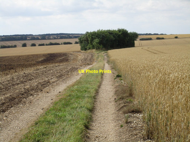 Photo 6"x4" Track to Ling Hall Farm West Heslerton c2016
