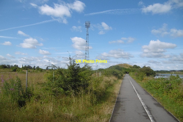 Photo 6"x4" South Tees Cycleway Portrack c2016