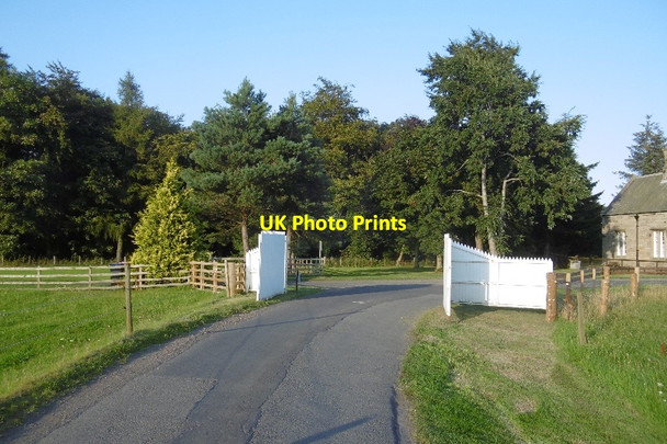 Photo 6"x4" Gate, Dalkeith Estate Dalkeith\/NT3467 c2016