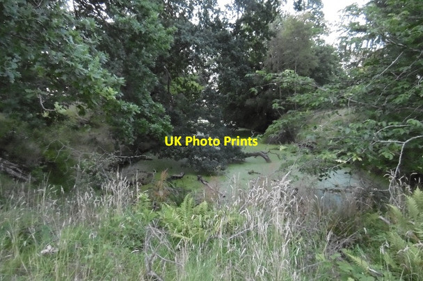 Photo 6"x4" Pond, Dalkeith Park Dalkeith\/NT3467 c2016