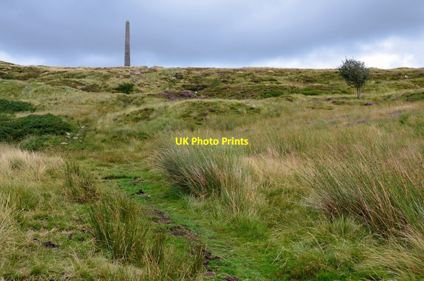 Photo 6"x4" Path on the west side of Whita Hill Langholm\/NY3684 c2016