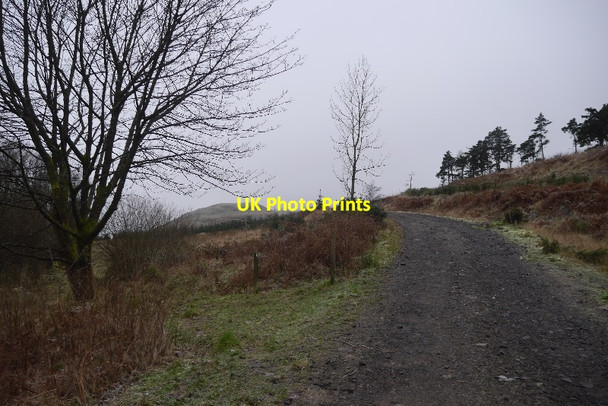 Photo 6"x4" Logging road, Hillfoot Hill Dollar c2016