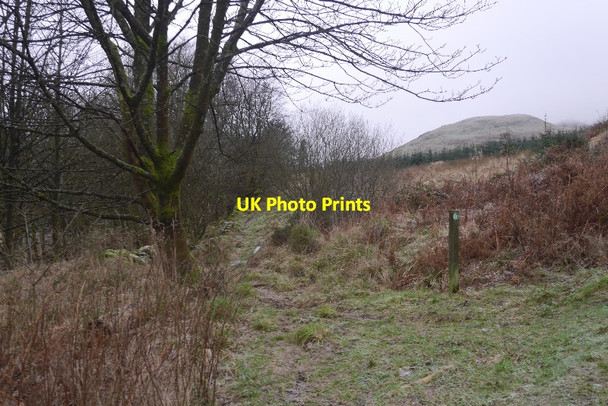 Photo 6"x4" Path, Hillfoot Dollar c2016