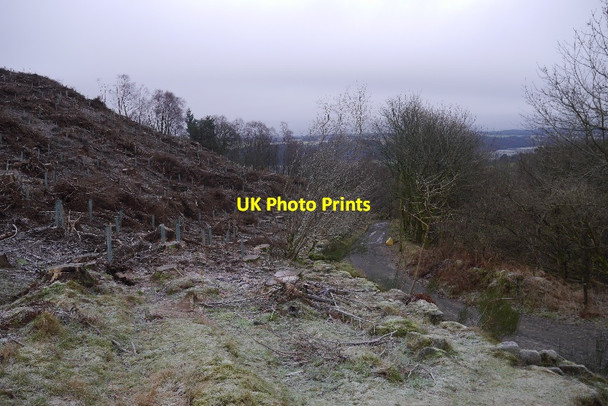 Photo 6"x4" Gloom Hill Dollar c2016 P1
