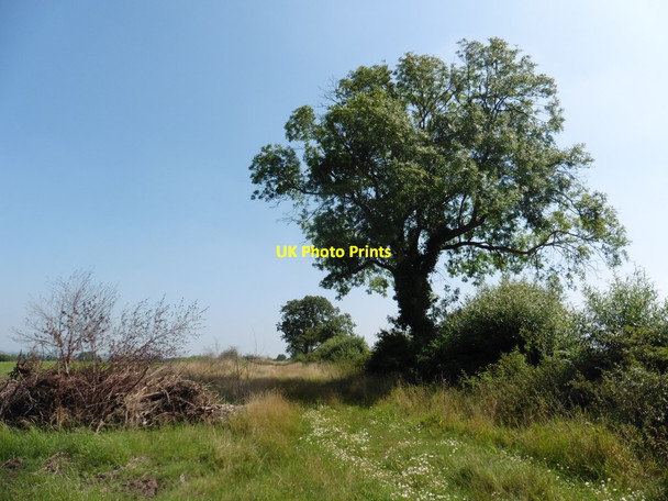 Photo 6"x4" Sand Ditch Burtle Hill c2016