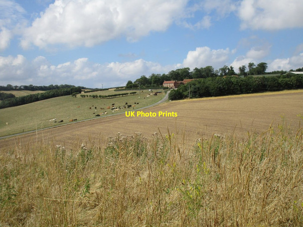 Photo 6"x4" View towards Ling Hall Farm West Heslerton c2016
