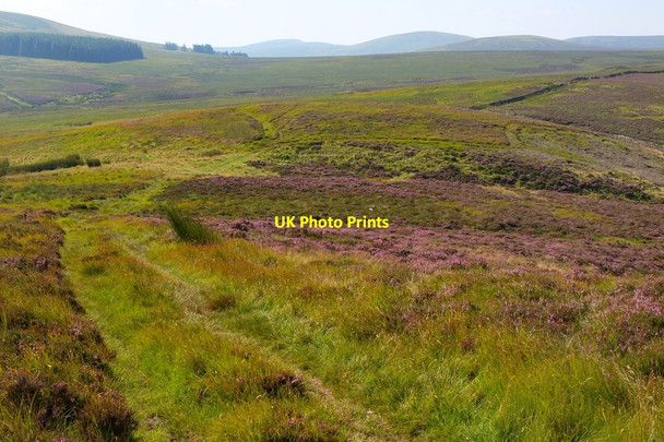Photo 6"x4" Track on Hare Hill Malleny Mills c2016