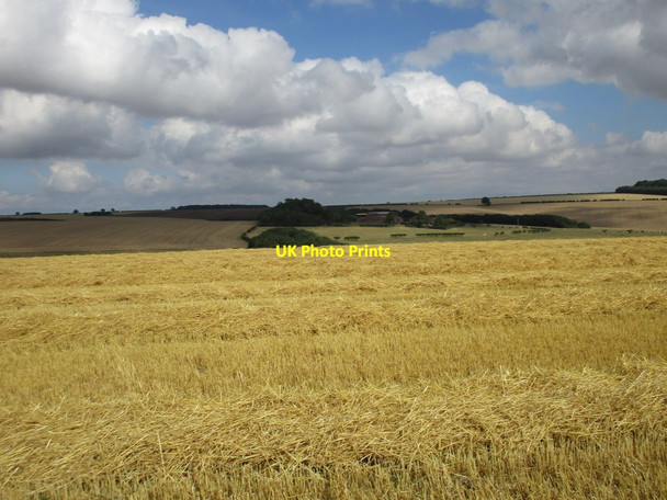 Photo 6"x4" View towards Ling Hall Farm West Heslerton c2016