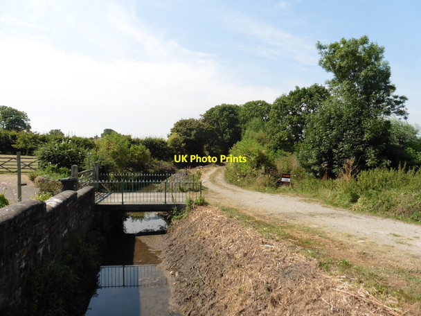 Photo 6"x4" Nidon Rhyne Catcott c2016