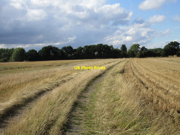 Photo 6"x4" Footpath to Ranskill Mattersey c2016