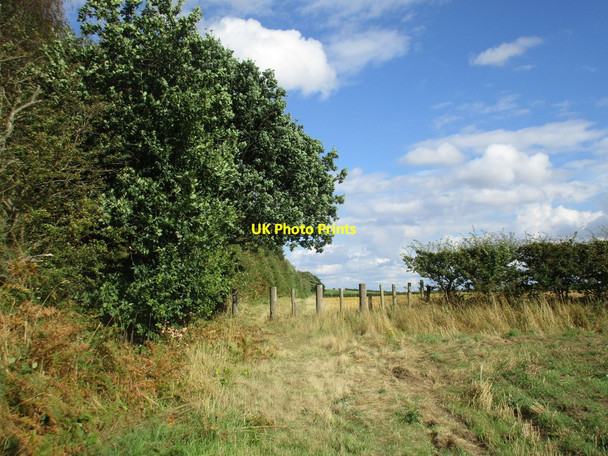 Photo 6"x4" Footpath and the edge of Ellis Plantation Lound\/SK6986 c2016