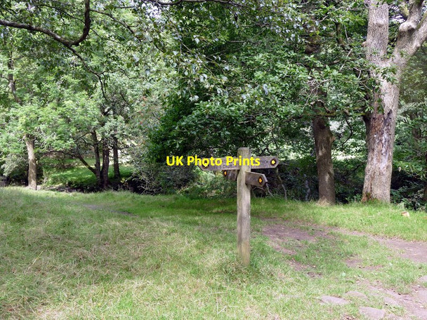 Photo 6"x4" Footpaths crossing at Gradbach Roche Grange c2016