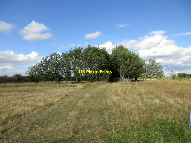 Photo 6"x4" Footpath to Wild Goose Farm Mattersey c2016