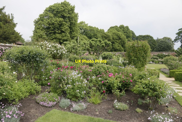 Photo 6"x4" Rose Beds Lower Brook c2016