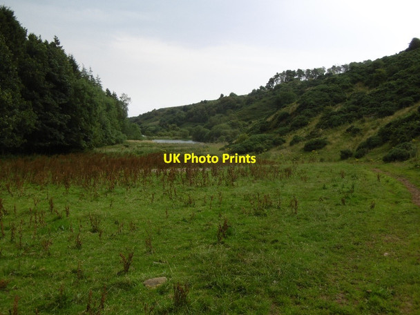 Photo 6"x4" Donolly Reservoir track Carfrae\/NT5769 c2016