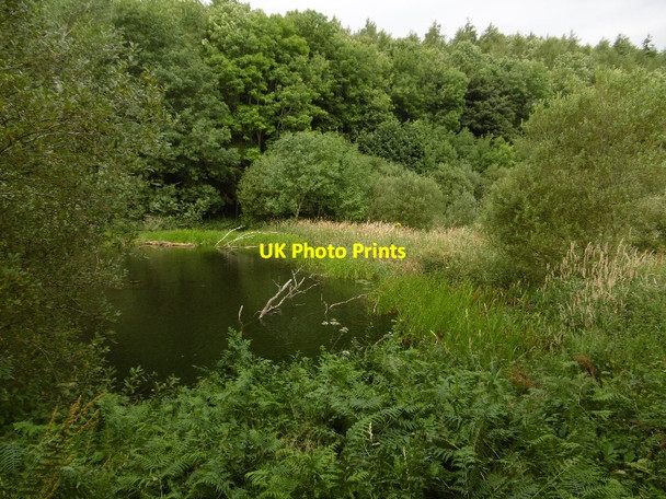 Photo 6"x4" Donolly Reservoir Carfrae\/NT5769 c2016