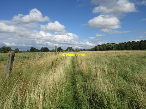 Photo 6"x4" Footpath to Wild Goose Farm Ranskill c2016