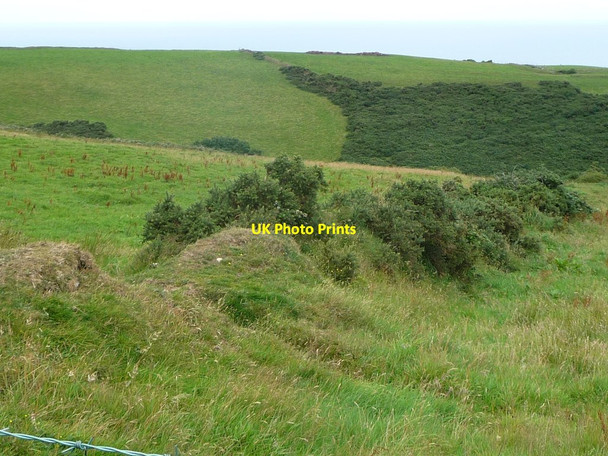 Photo 6"x4" Disused field boundary, north of Doarlish Cashen Ballelby c2016