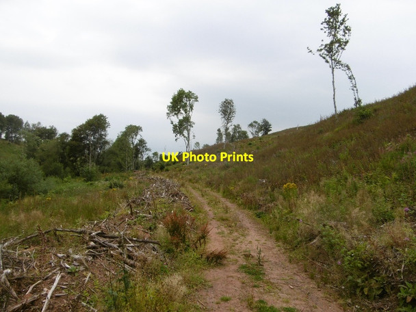 Photo 6"x4" Track beside Danskine Loch Carfrae\/NT5769 c2016