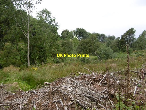 Photo 6"x4" Danskine Loch Carfrae\/NT5769 c2016