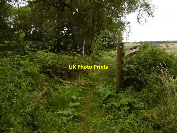 Photo 6"x4" Path by Danskine Loch Carfrae\/NT5769 c2016