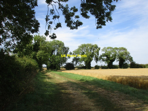 Photo 6"x4" Farm track near Atterby Atterby c2016