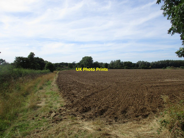 Photo 6"x4" Behind the hedge on School Lane Aisthorpe c2016