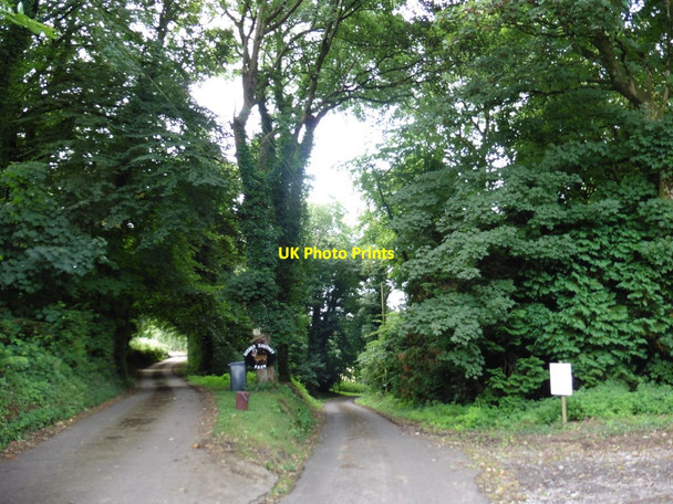 Photo 6"x4" Turning for Higher Southey Farm Smeatharpe c2016