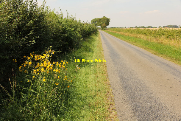 Photo 6"x4" Lane between Snelland and Snarford Snarford c2016