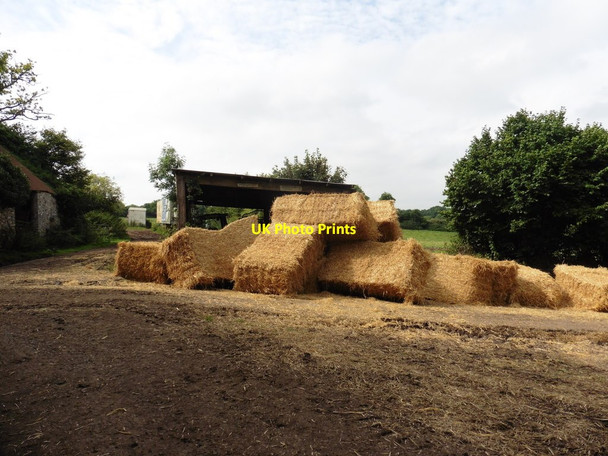Photo 6"x4" Hay bales on the road, near Middleton Barton Smeatharpe c2016