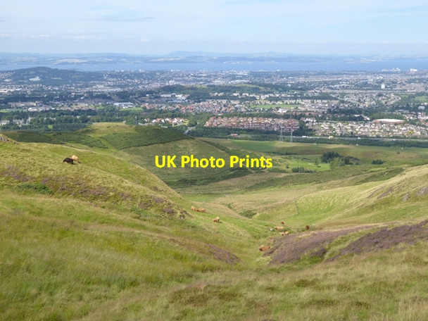 Photo 6"x4" Valley of the Hare Burn Boghall\/NT2465 c2016