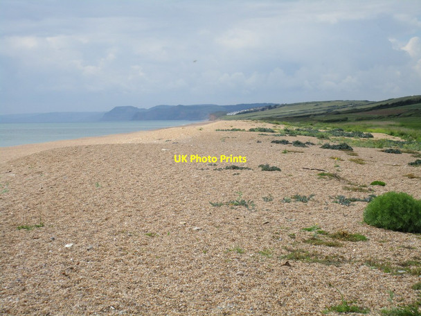 Photo 6"x4" Chesil Beach Swyre\/SY5288 c2016