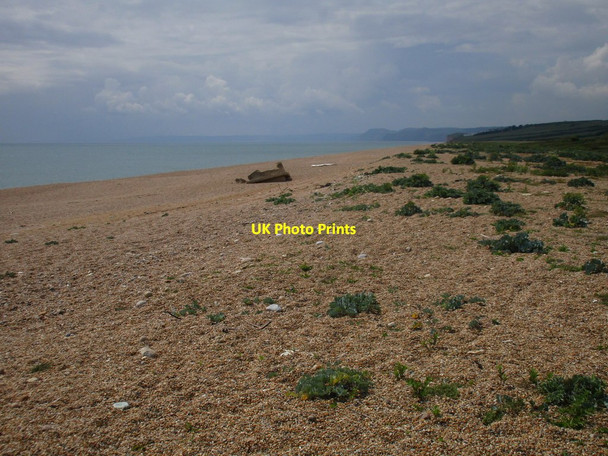Photo 6"x4" Chesil Beach, looking towards West Bay Swyre\/SY5288 c2016