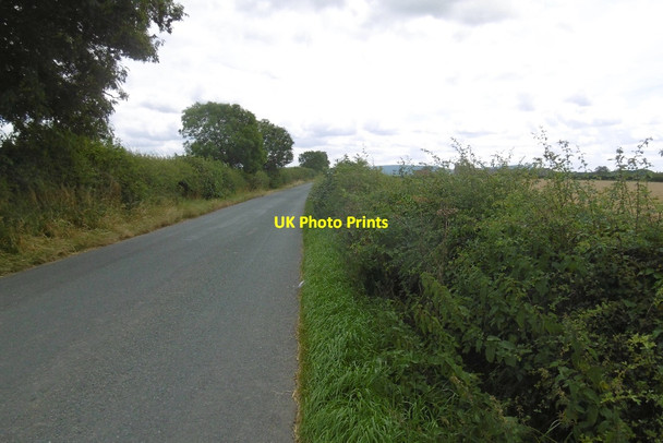 Photo 6"x4" Road near Middleton Grange Middleton-on-Leven c2016