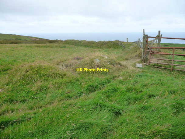 Photo 6"x4" Old field boundary, strengthened with posts and wire Ballelby c2016