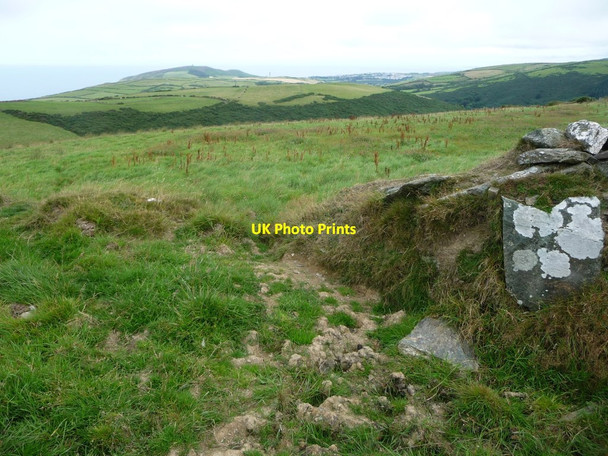 Photo 6"x4" The north-west flank of Dalby Mountain Ballelby c2016